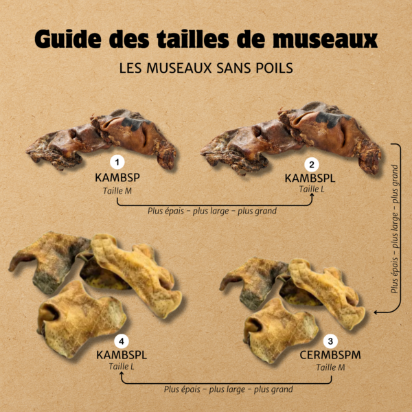 Museau de bœuf avec poils – Image 2