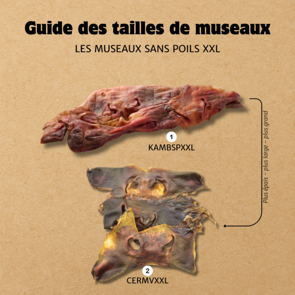 Museau de bœuf avec poils – Image 4