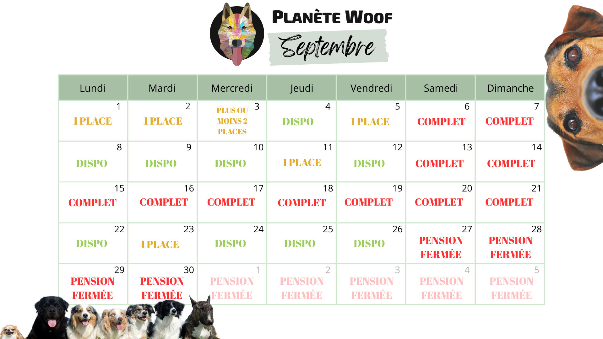 Calendrier année 2024 Mois Août fleurs vert rose (1)
