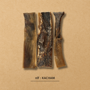 Morceaux de cuir chevelu de chameau