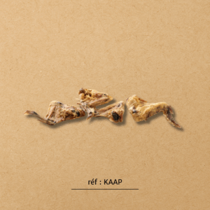 Aile de poulet entière